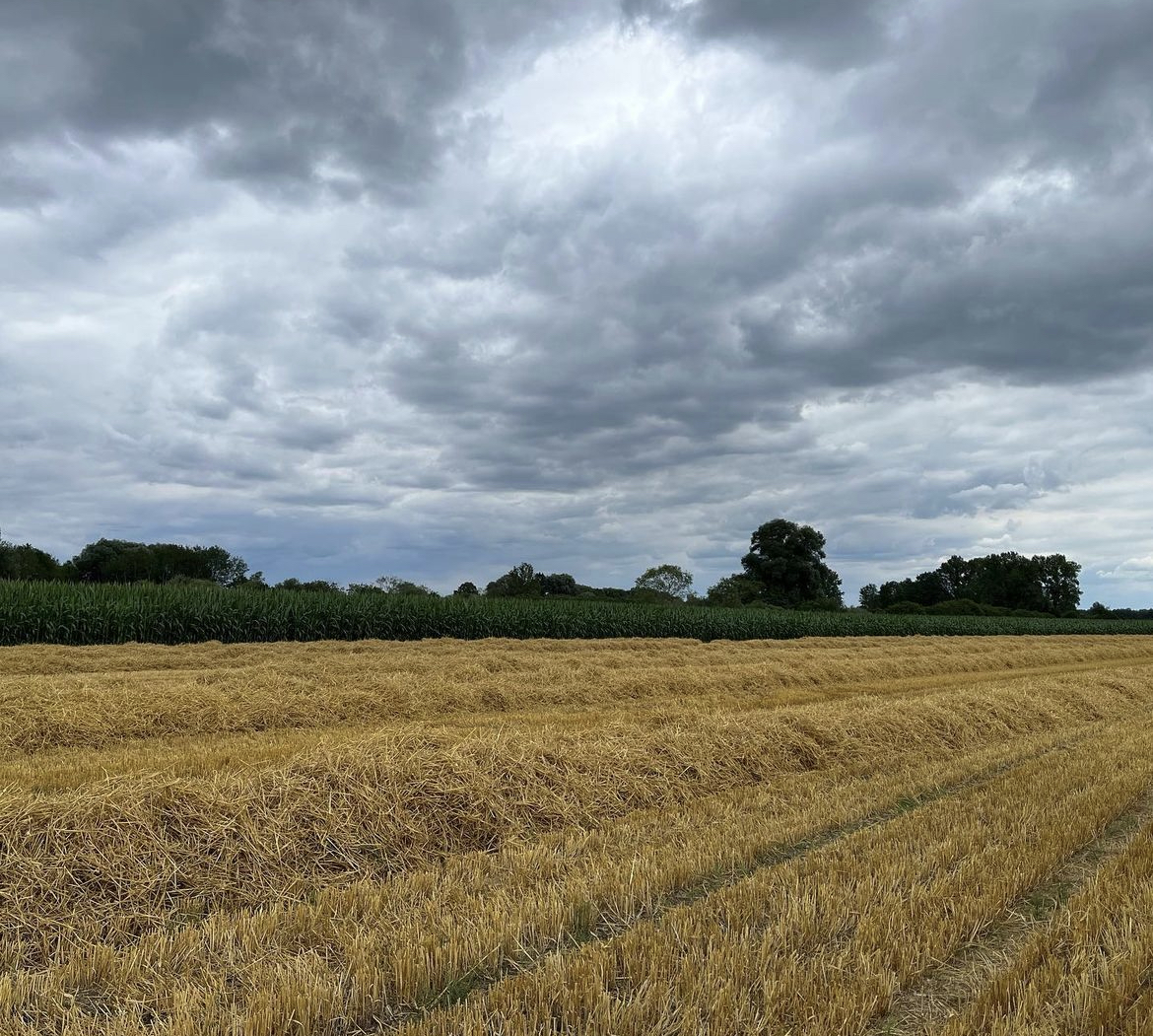 Felder unter weitem Himmel bei Sickenhausen